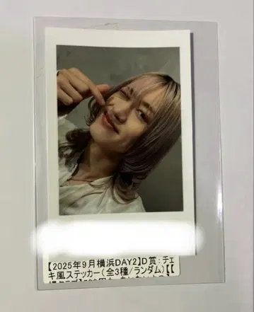 BUDDiiS MORRIE 키라리 폴라로이드풍 스티커