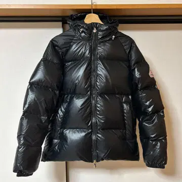 피레넥스 STEN 3 SHINY