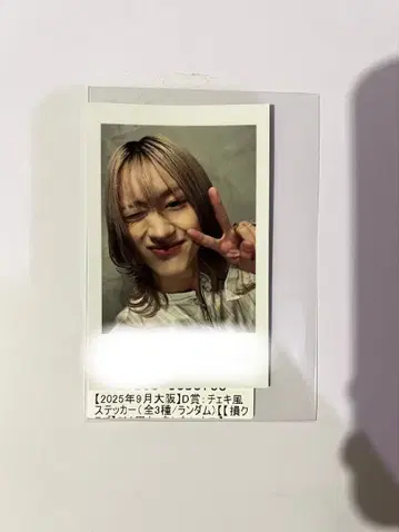 BUDDiiS MORRIE 폴라로이드풍 스티커