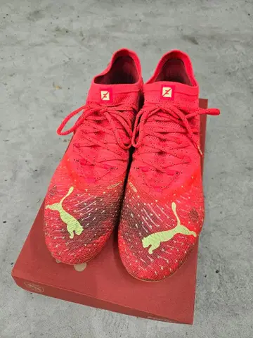 Puma 퓨처 얼티밋 FG/AG 28cm