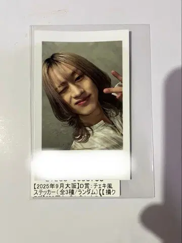 BUDDiiS MORRIE 폴라로이드풍 스티커