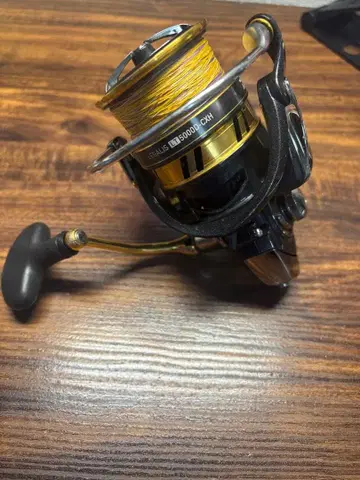 다이와 레갈리스 LT5000D-CXH