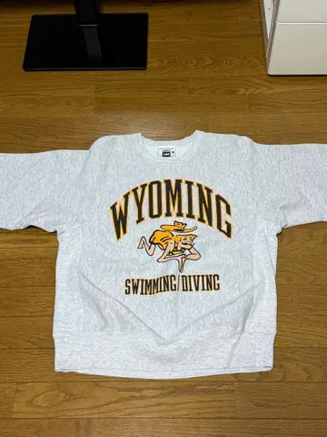 리 REVERSE WEAVE 레어 프린트