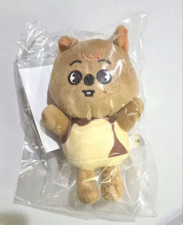 SKZOO 콰카 백참 푸딩