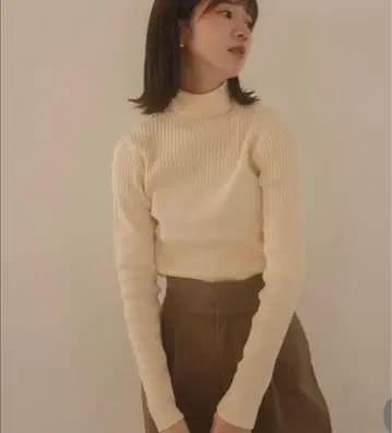 Eaphi 랜덤 립 터틀넥 니트