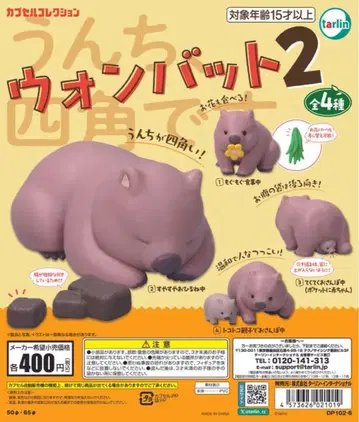 웜뱃 2 캡슐 토이 3종 세트