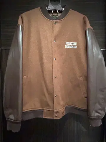 FIGHTING DINOSAUR 바시티 자켓 L