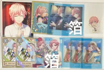 무쿠 파샤코레 개화 전 개화 후 N 박 아니카페 크리카