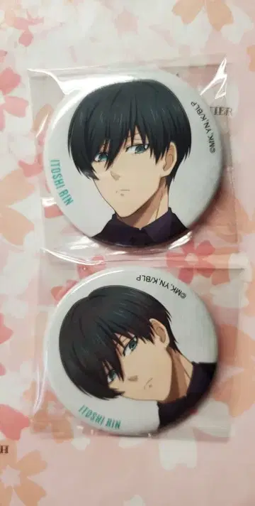 블루 록 베이스 야드 이토시 린