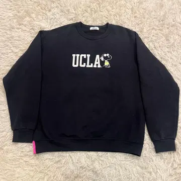 UCLA 스누피 콜라보 트레이닝복 M 사이즈