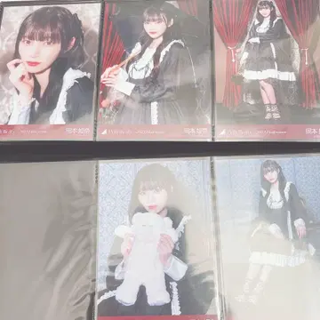 노기자카46 오카모토 히나 브로마이드 개별 5종 컴프 할로윈 2023