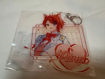 리이누 군 big 아크릴 키링