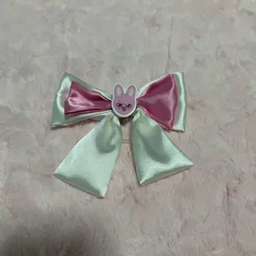 straykids 스키즈 창빈 응원봉 리본