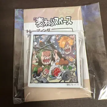 원피스 짚단 스페이스 아크릴 마그넷 조로&상디