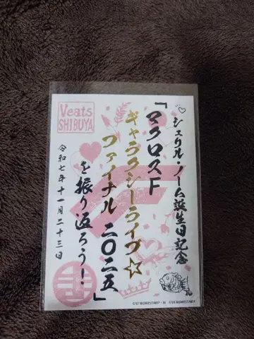 마크로스F 갤럭시 라이브 파이널 2025를 돌아보자 고슈인 2