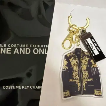 AKIRA 코스튬 키링 EXILE 의상전