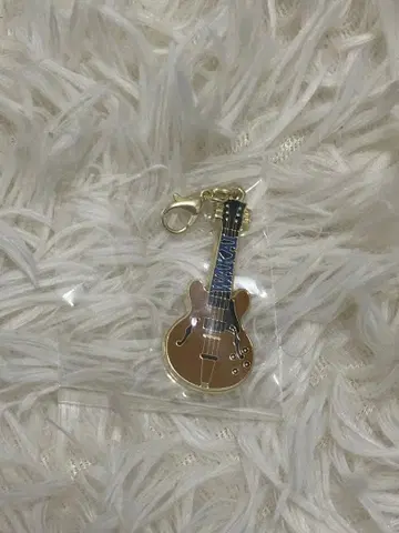 미세스 그린애플 메탈 참 기타 와카이 히로토