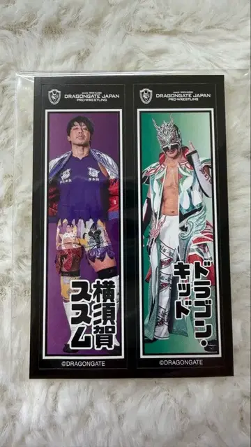 드래곤 게이트 요코스카 스스무 드래곤 키드