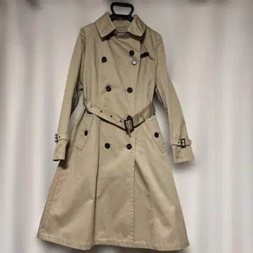 트렌치코트 취업활동