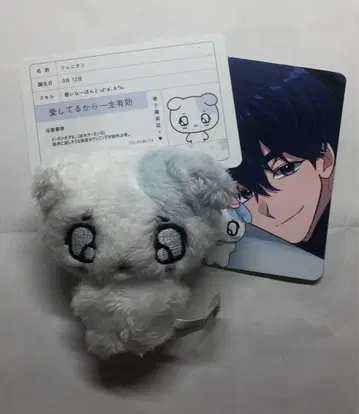 Plave 예준 봉제 인형 비공식 트레이딩 카드 포함