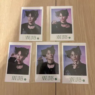 초특급 미니 사진 NINE LIVES REAL? 타쿠야 컴프