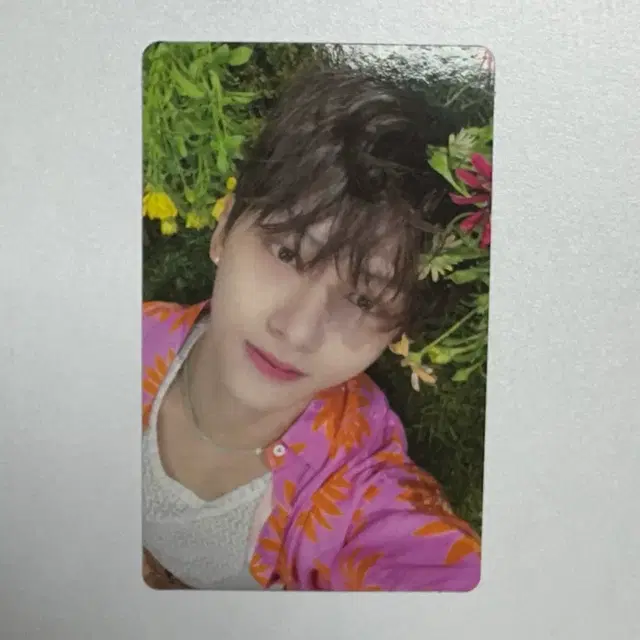 세븐틴 준 섹터 17 월드 키트 버젼 앨범 포카