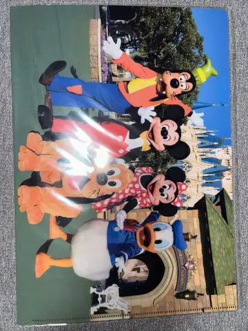 도쿄 디즈니랜드 캐릭터 클리어 파일