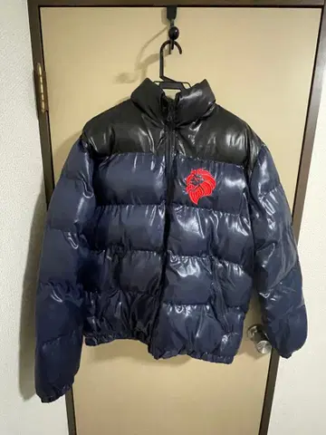 네스타 네이비 다운