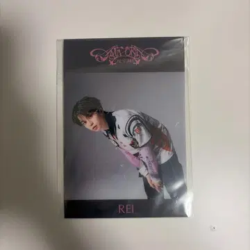 ONE N' ONLY AMAZONIA 라쿠텐 북스 클리어 시트 REI