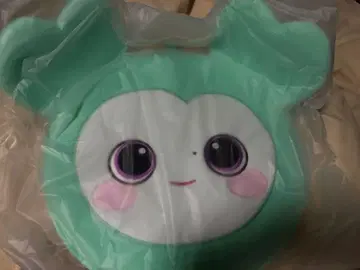 TWICE MINA 러블리 부채