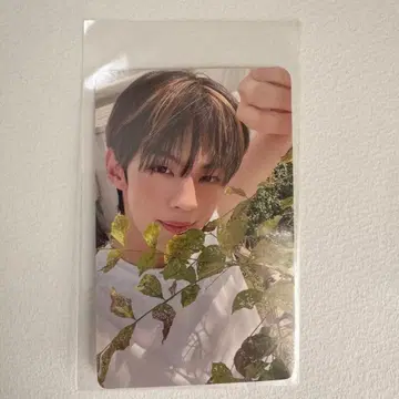 TWS UMS 매장 혜택 트레이딩 카드 도훈