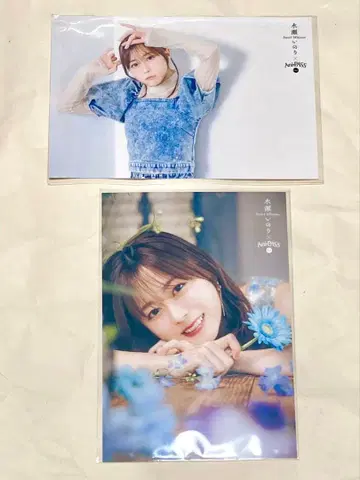 미나세 이노리 엽서