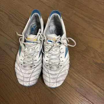 모렐리아 네오 4