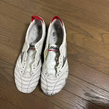 모렐리아 네오 4