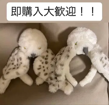 USJ 헤드윅 머리띠 2세트