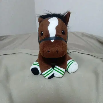 경마 굿즈 아이돌 호스 우오카 택 없음 레귤러 사이즈