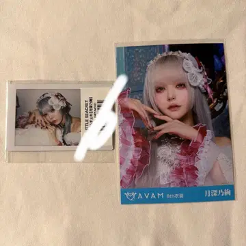 노아 란 폴라로이드 브로마이드