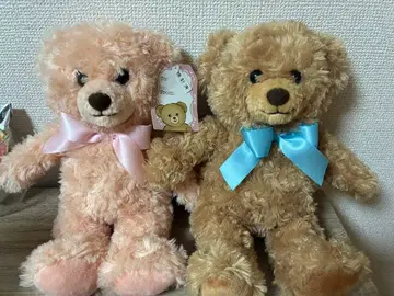 테디베어 2체 세트 ( 핑크 브라운 )