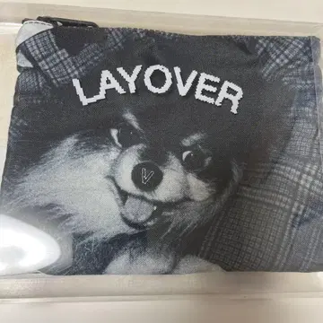 [ BTS ] LAYOVER 연탄 리버서블 파우치 V 태태