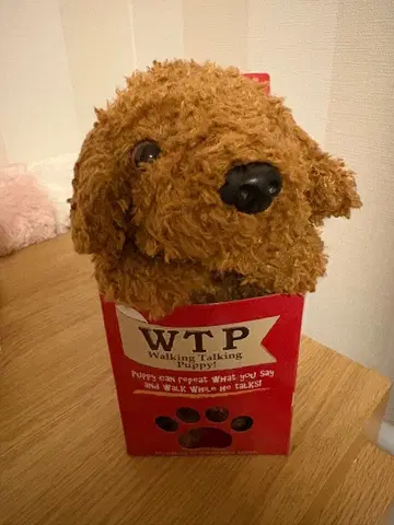 토이 푸들 말하는 봉제 인형