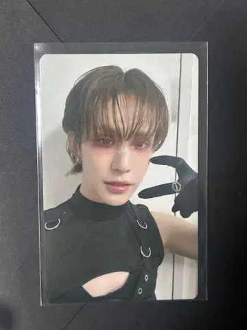 xlov wumuti 트레이딩 카드