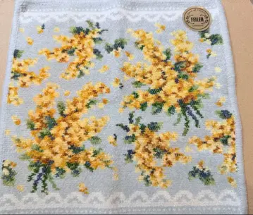 페이러 [미모사 솔라레] 옅은 그레이