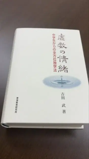 허수의 정서 요시다 타케시 저