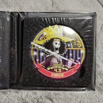 미개봉 (브룩) 벌스데이 프리미엄 캔뱃지