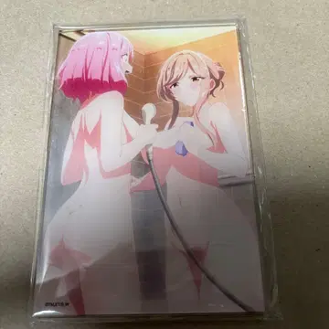 와타나레전 A6 미니 아크릴 보드 목욕탕 아마오레 나나코 & 세나 수국