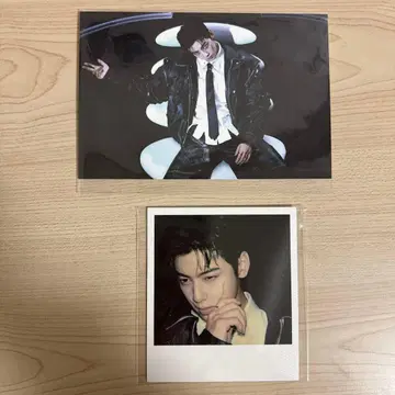 차우누 ELSE FROM ver