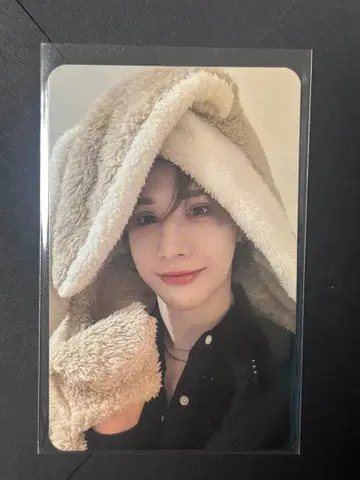 wumuti 트레이딩 카드