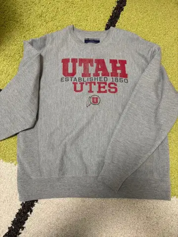 champion 맨투맨 리버스 위브