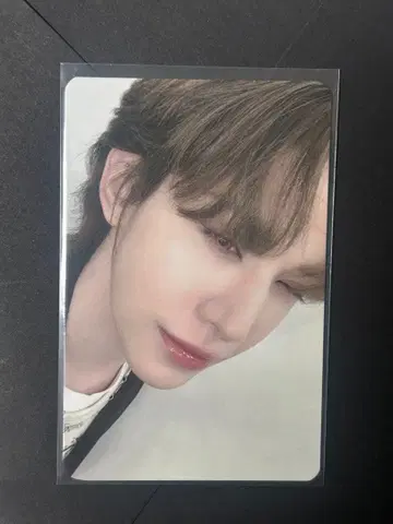 xlov wumuti 트레이딩 카드