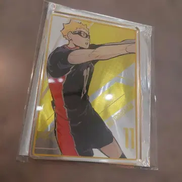 하이큐 츠키시마 케이 스탯 카드